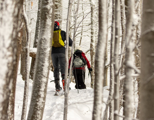 Winter nutrition